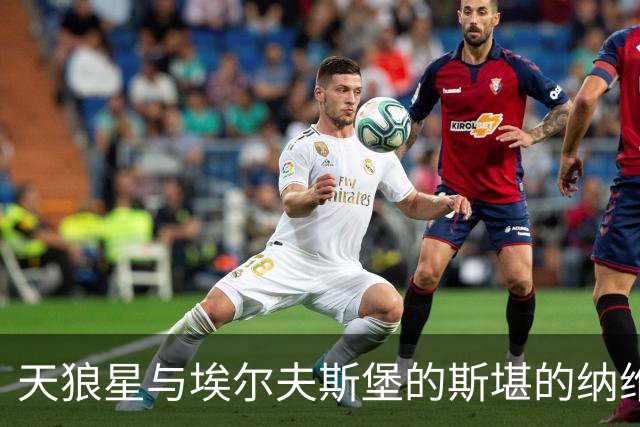 天狼星与埃尔夫斯堡的斯堪的纳维亚之战：胜利的火花即将四溅！
